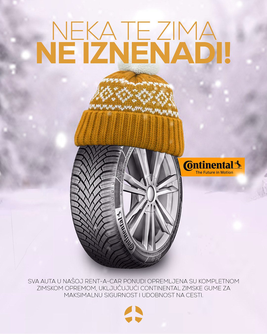 Rent-a-car vozni park na SJJ